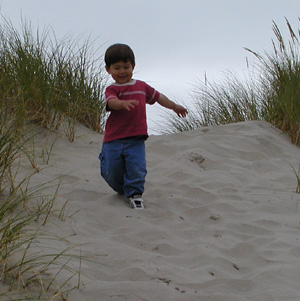 Coming Down A Dune