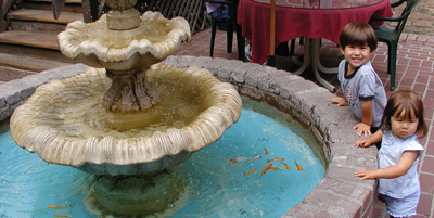 Fountain of Fish
