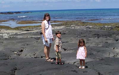 Looking For Sea Turtles