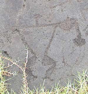 Drawing Jim's Buff Body